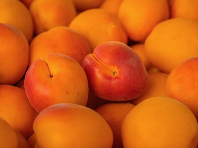 Apricots