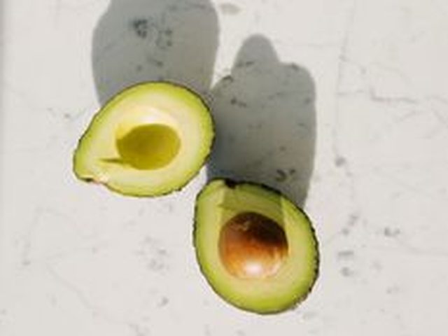 Avocado