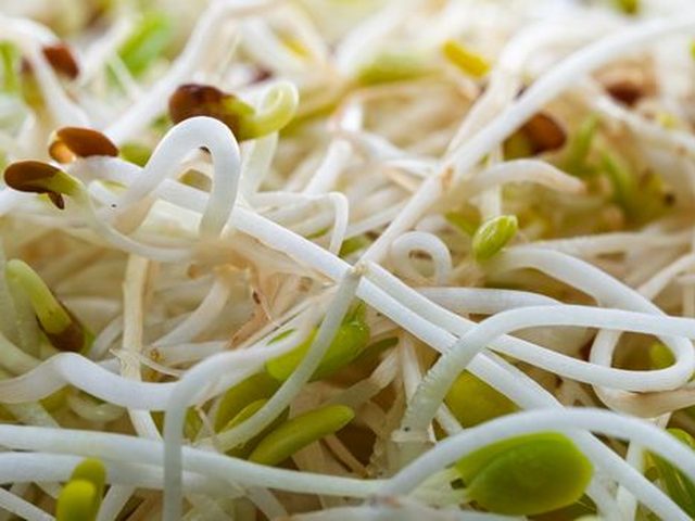 Bean Sprouts