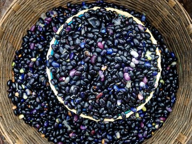 Black Beans