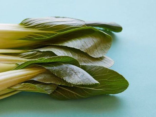 Bok Choy