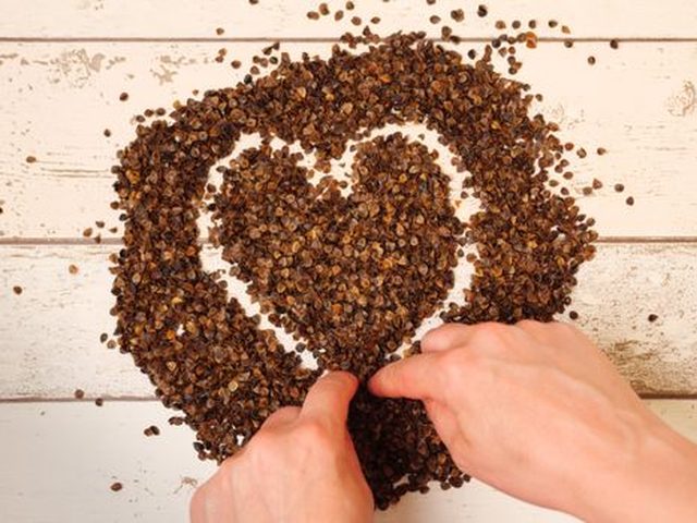 Buckwheat