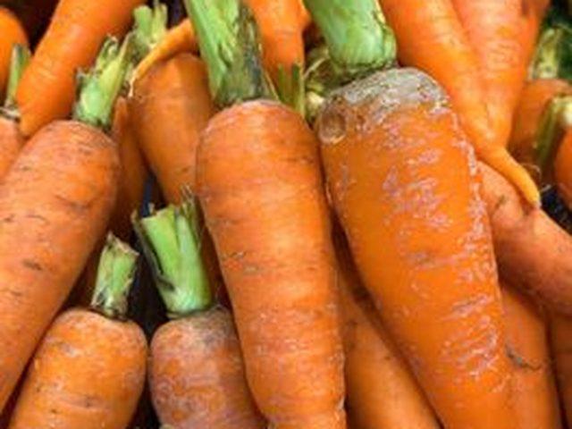 Carrot