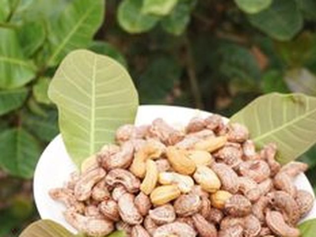 Cashews