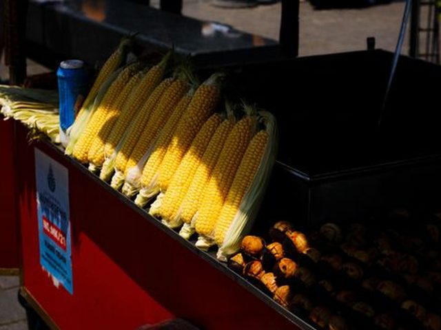 Corn