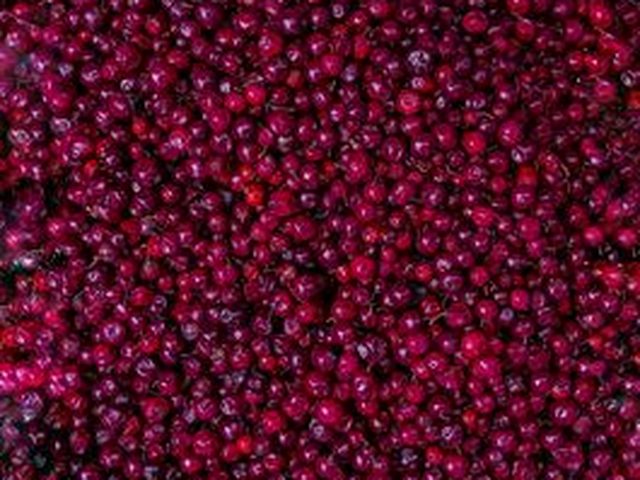 Dried Cranberries