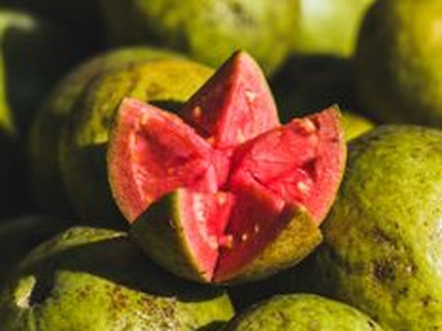 Guava