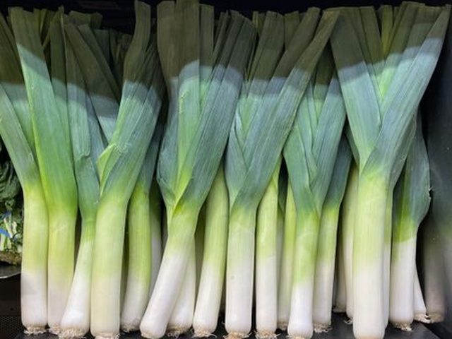 Leek