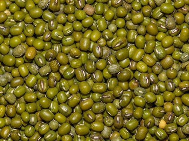 Mung Beans