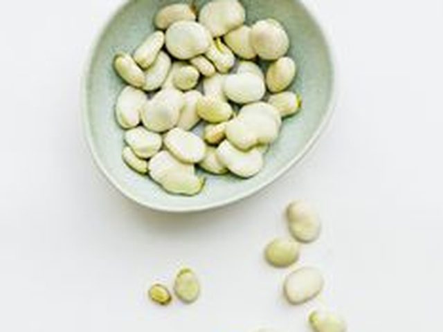 Navy Beans