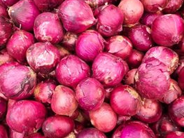 Onion