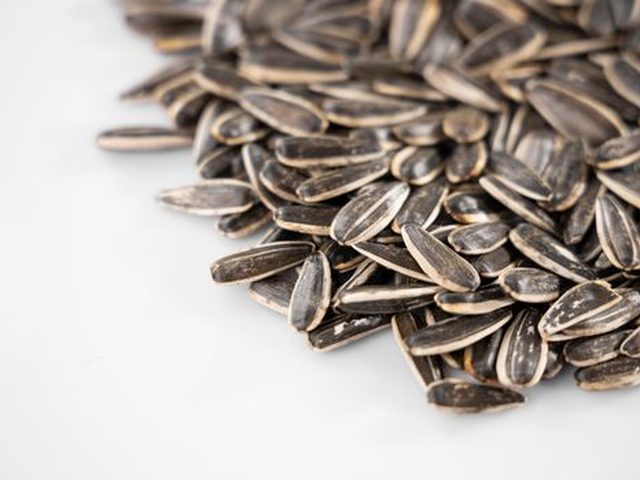 Sunflower Seeds