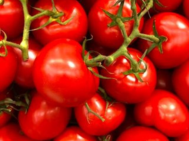 Tomato