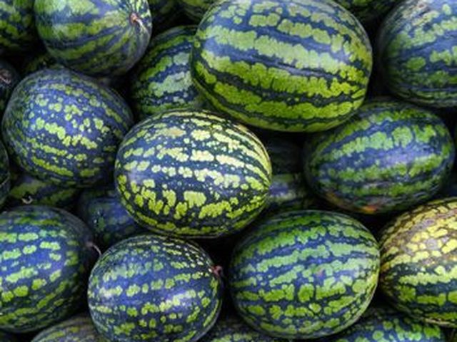 Watermelon
